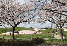 埼玉県 権現堂2号公園 プレイウォール