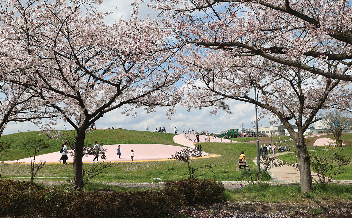 埼玉県 権現堂2号公園 プレイウォール